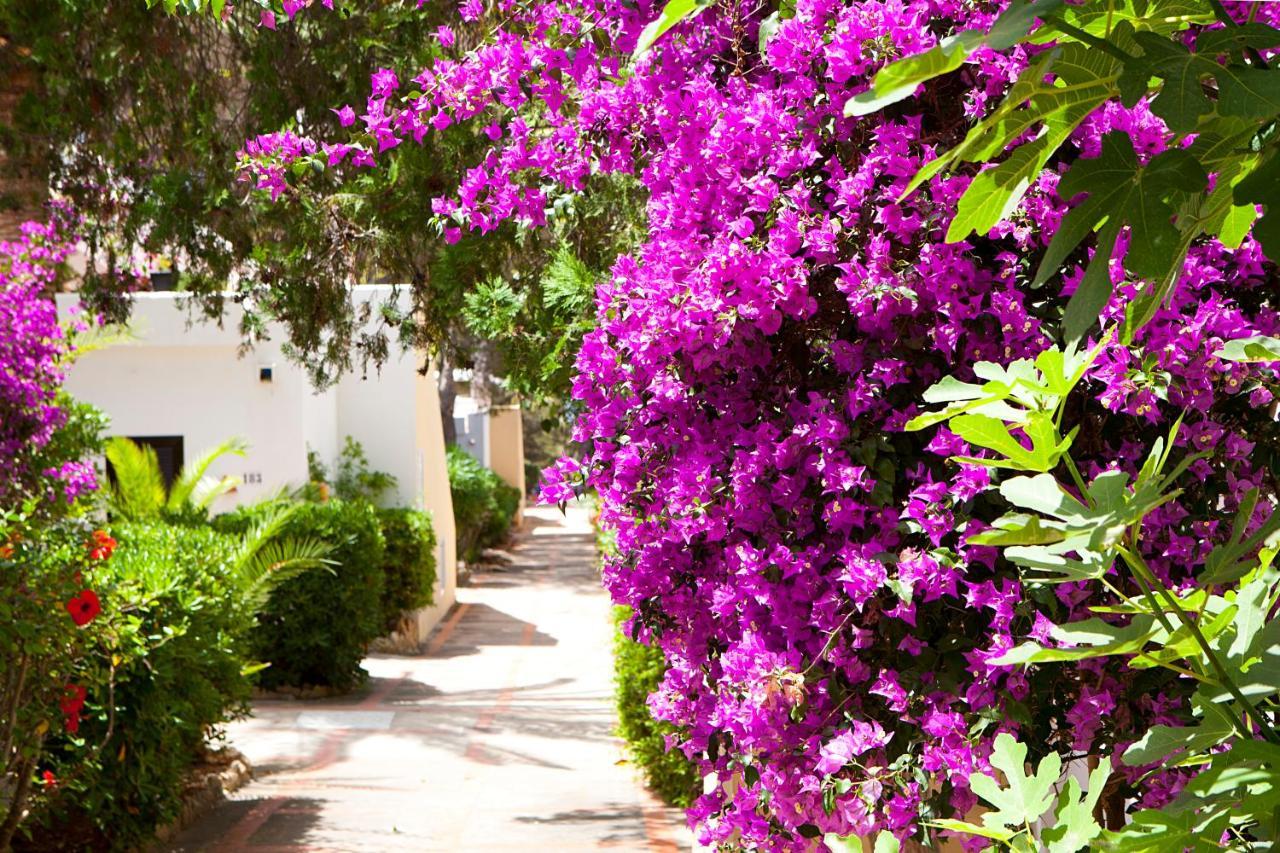Apartamentos Club Cala Azul Sant Carles de Peralta Exterior foto